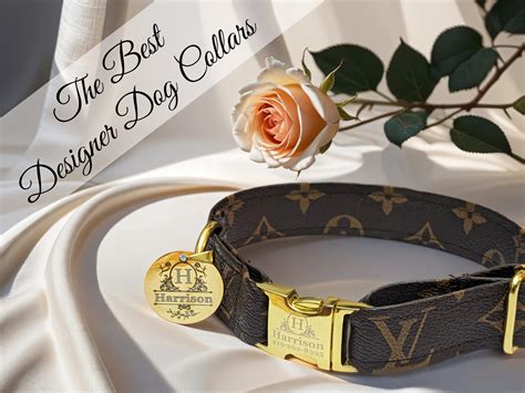 The 8 Best Designer Dog Collars of 2024 